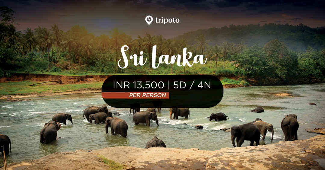 Photo of Mesmerising Sri Lanka