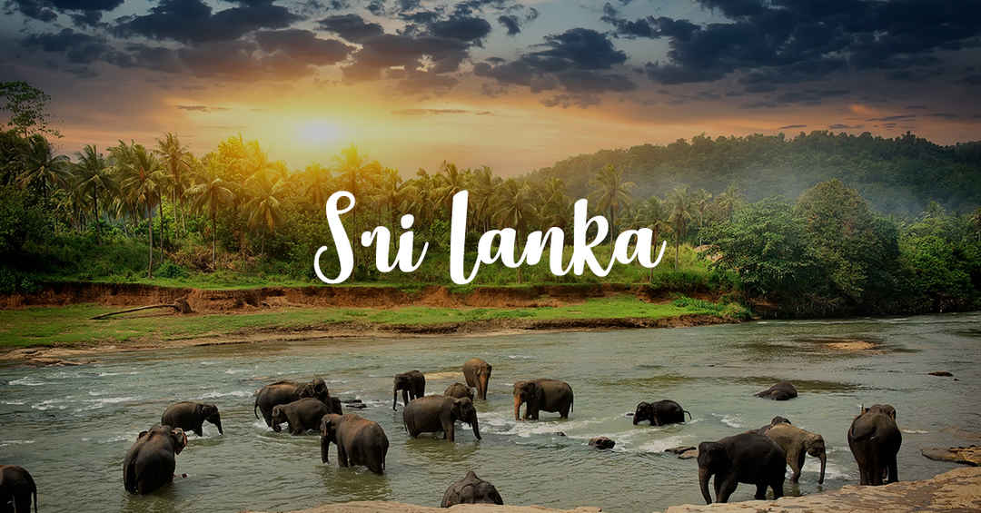 Photo of Festive Sri Lanka Offer