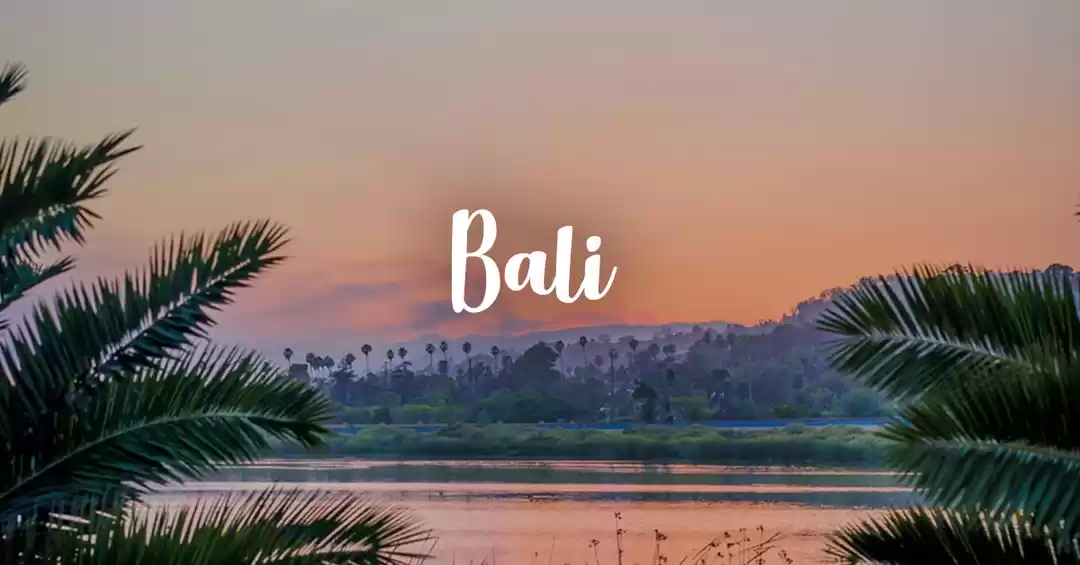 Image 1 of Bali Honeymoon Special
