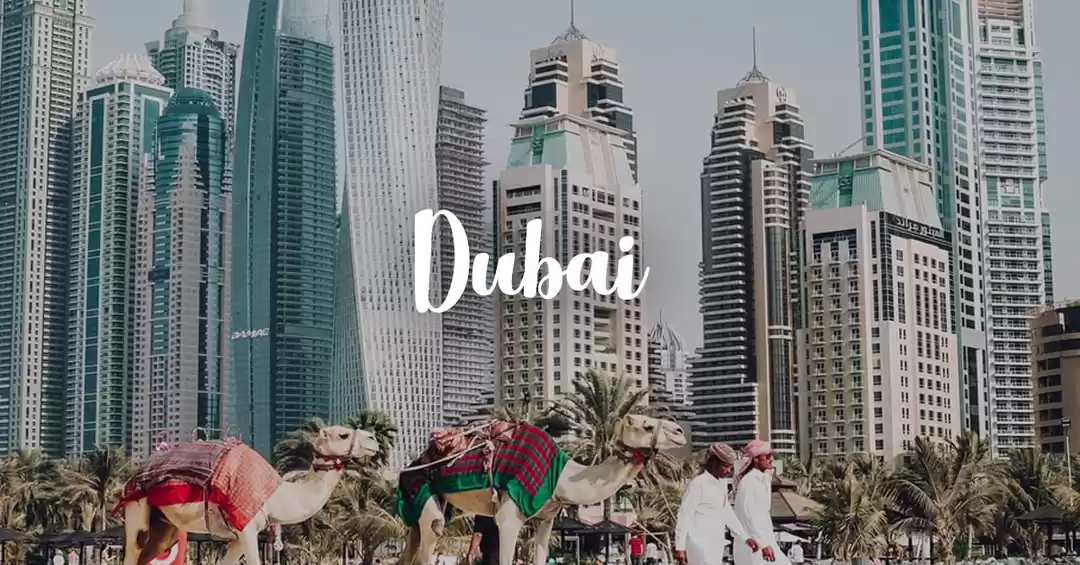 Image 1 of Dubai For All