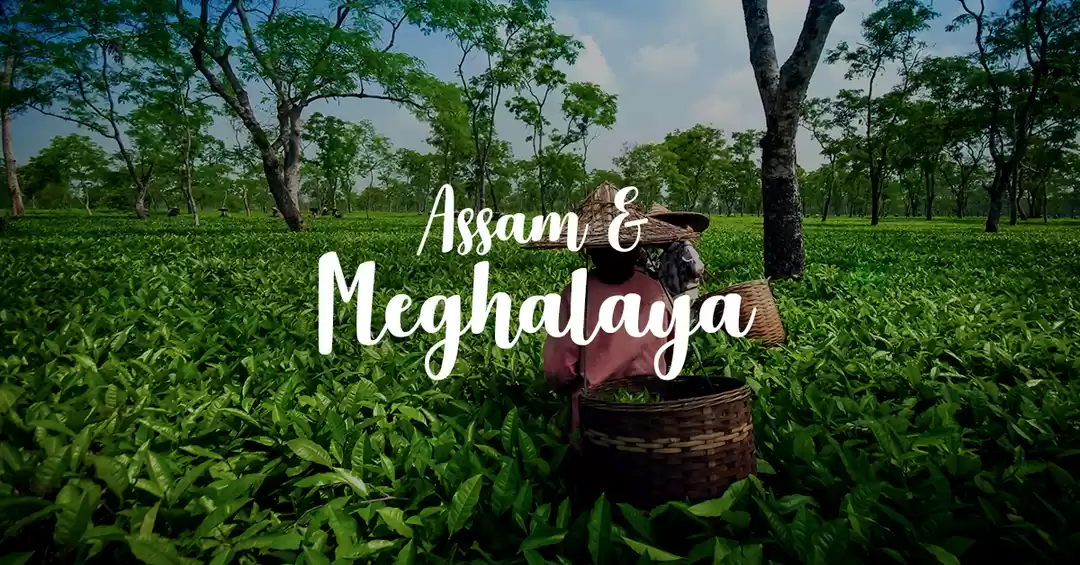 Photo of Assam And Meghalaya