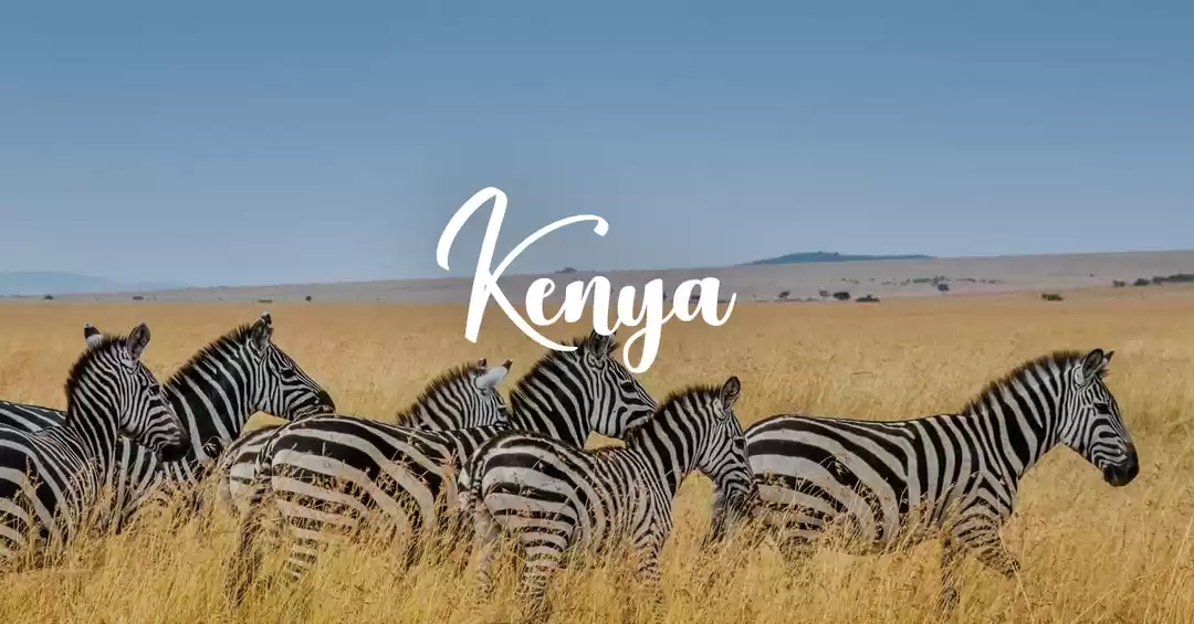 Image 1 of Premium Kenya