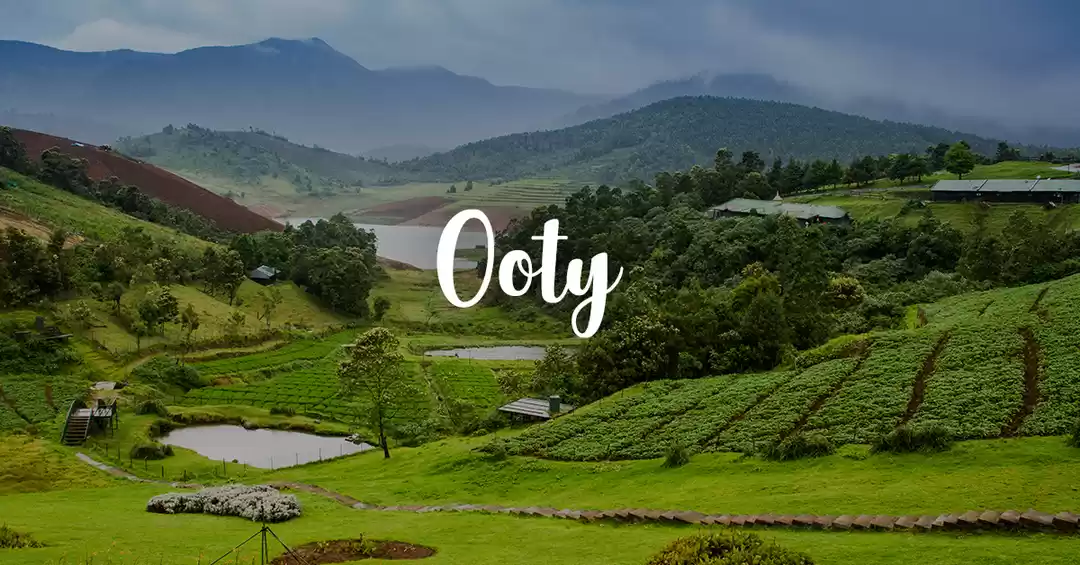 Photo of Enchanting Ooty