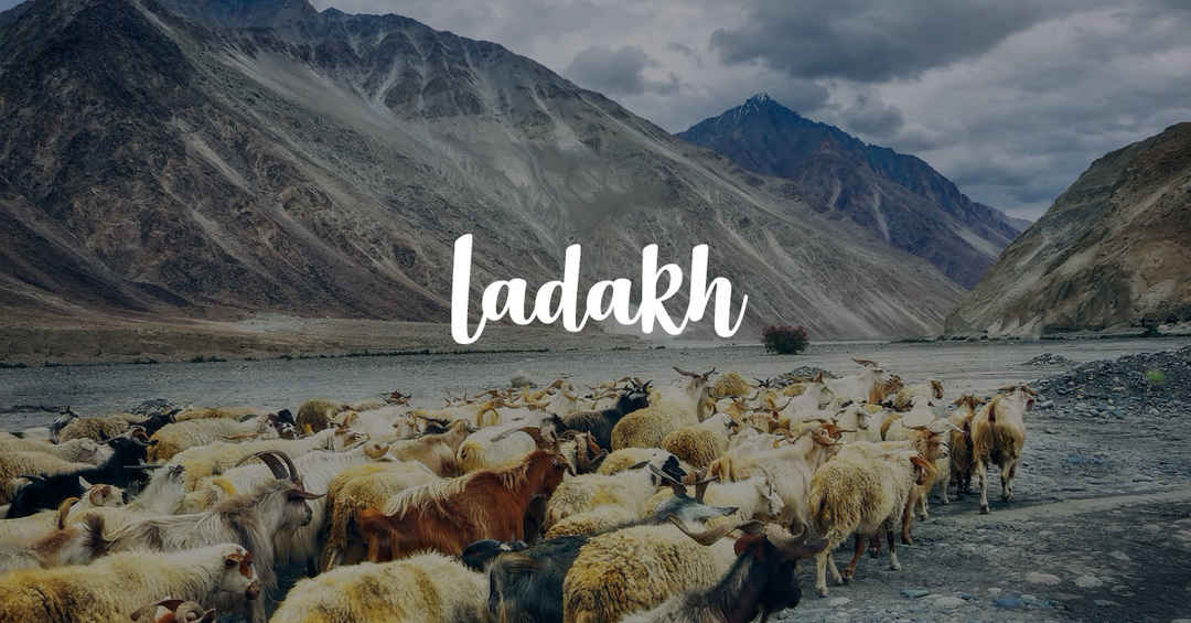 Photo of Best Of Ladakh