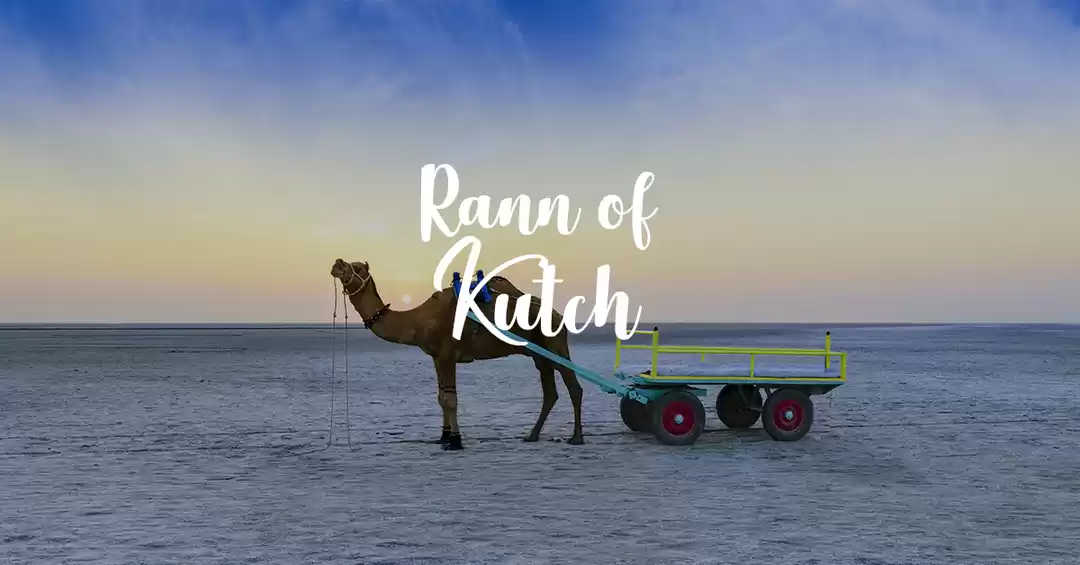 Image 1 of Enjoy Rann Utsav - 2N/3D