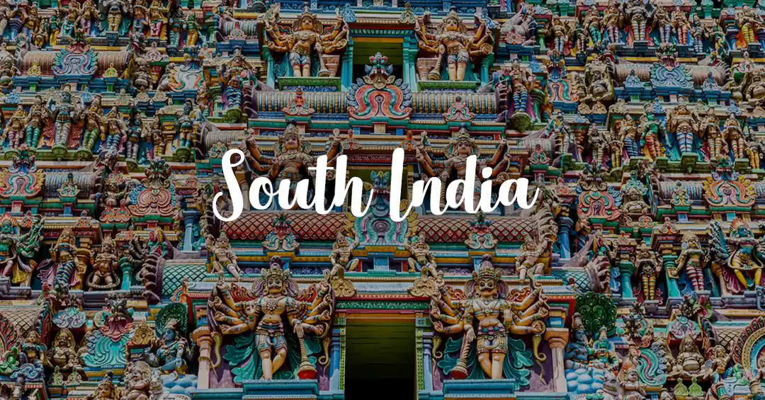 Image 1 of South India Delights