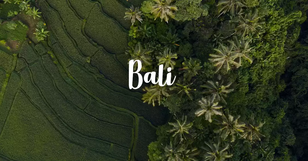 Image 1 of Scenic Bali