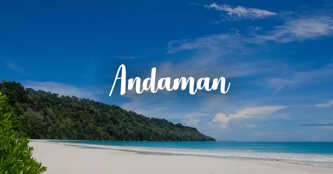 Image 1 of All-rounder Andaman