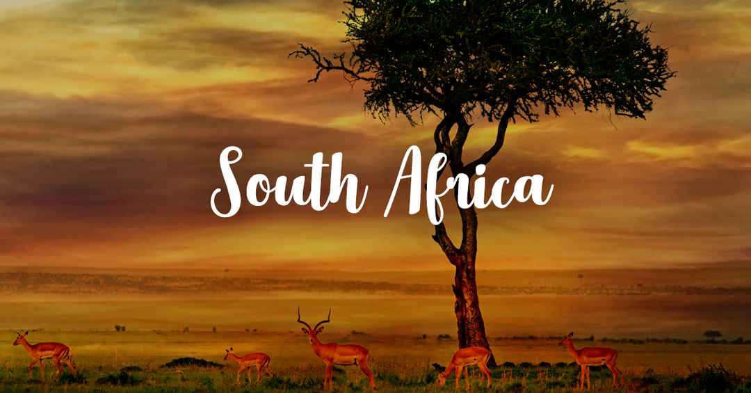 Photo of South Africa Honeymoon