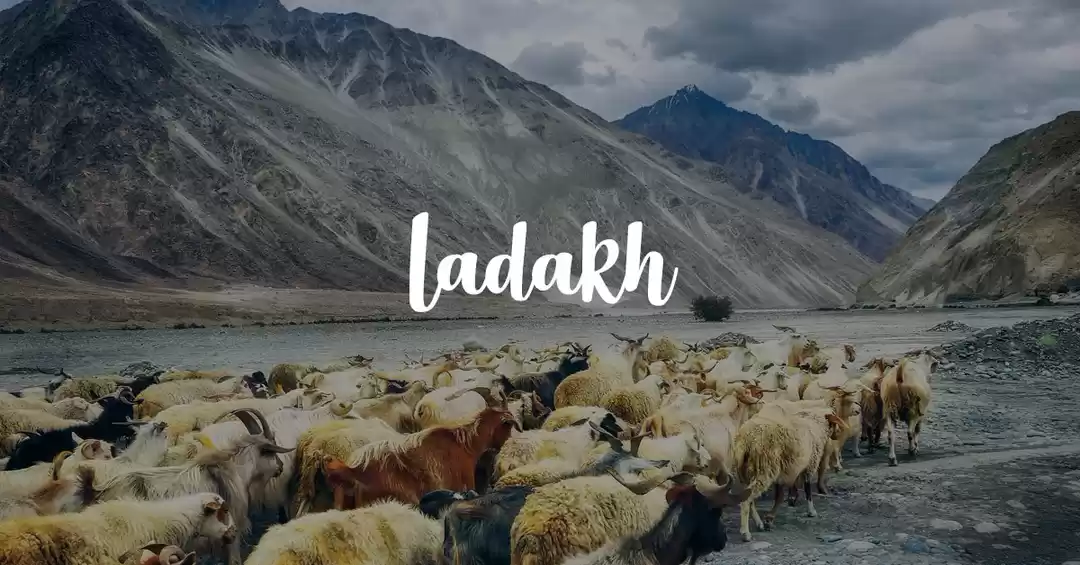 Image 1 of Go Around Ladakh