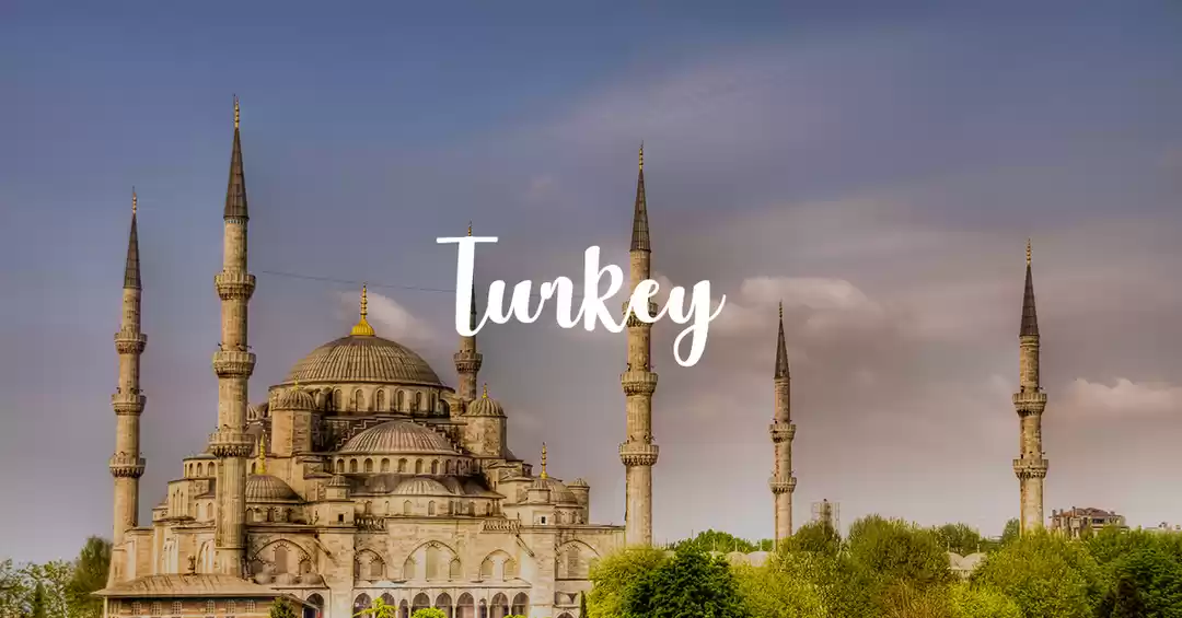 Photo of Majestic Turkey