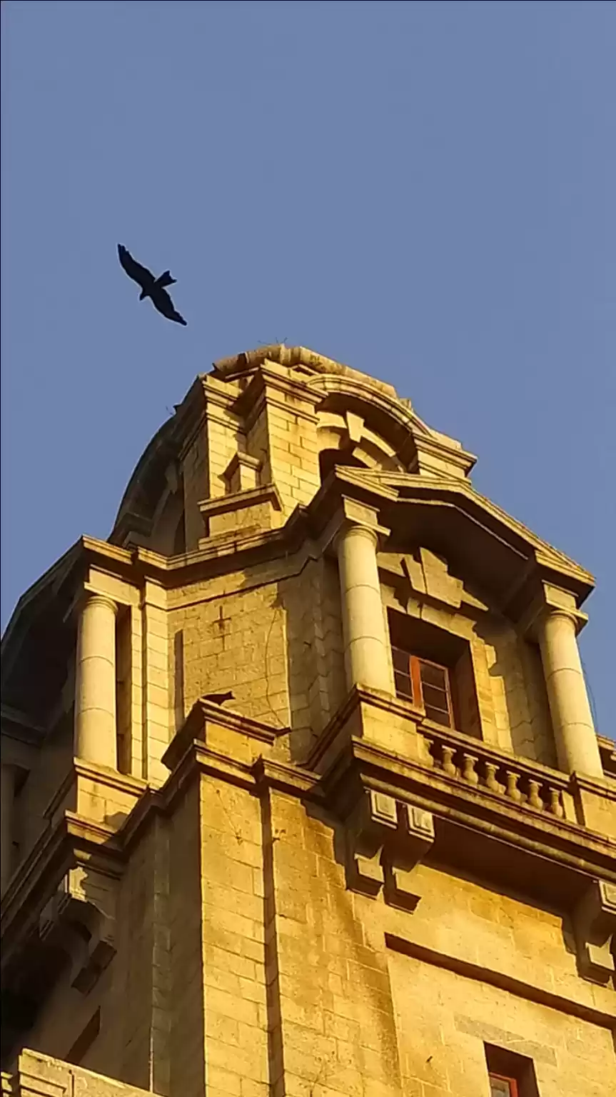 Photo of 3. Indian Institute of Science