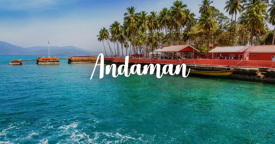 Image 1 of Selfielicious Andaman-7N/8D