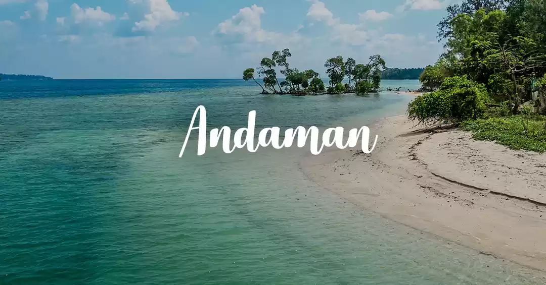 Image 1 of Turquoise Andaman