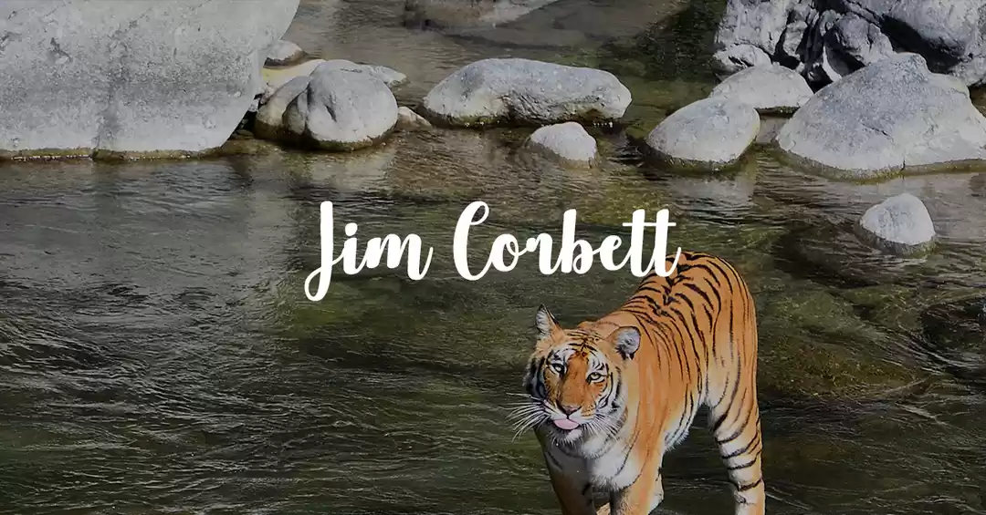 Image 1 of 3 Days Jim Corbett Package