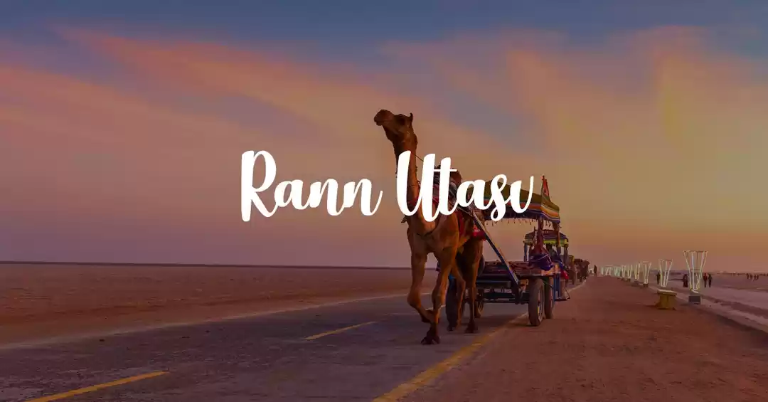 Image 1 of White Rann Of Kutch With Mandvi 
