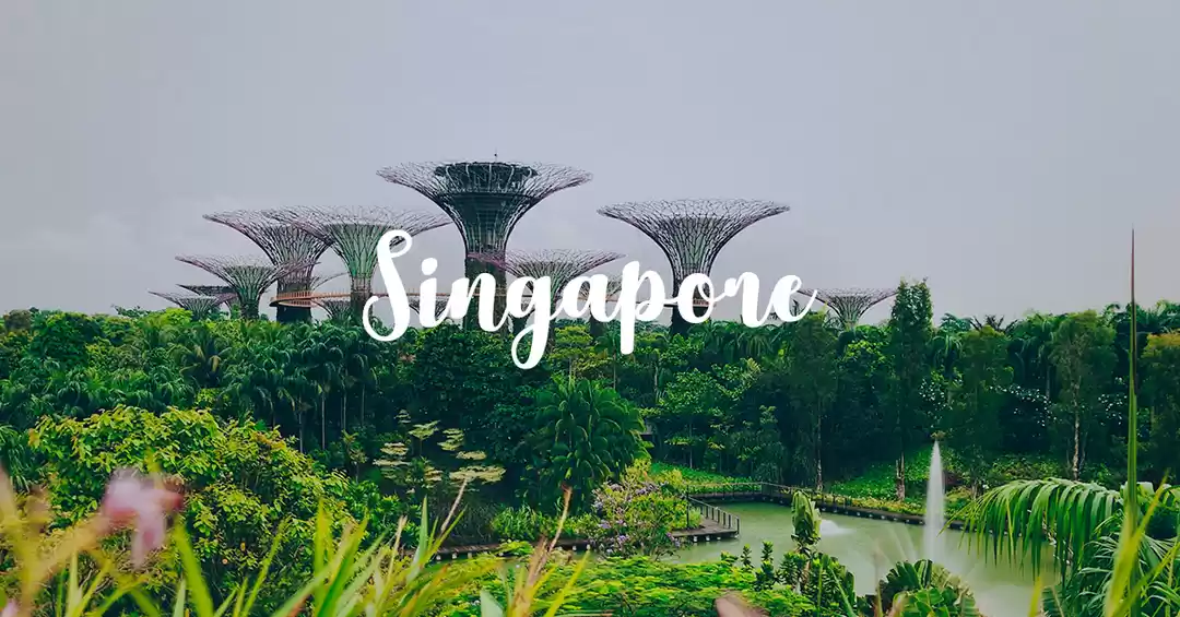 Image 1 of Singapore With Flights