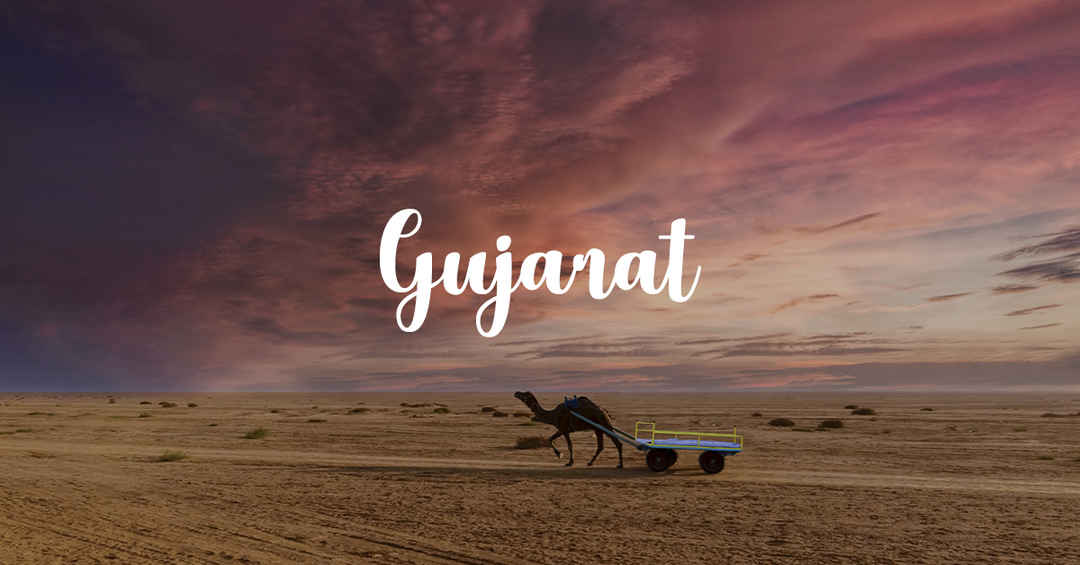 Photo of Gorgeous Gujarat