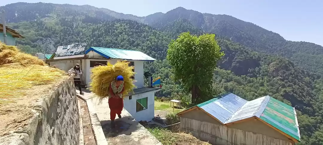 Photo of Offbeat treks in Ago