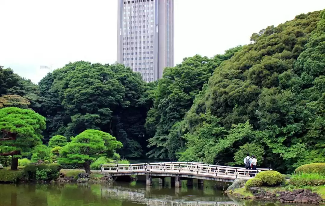 Photo of Shinjuku Gyoen National Garden
