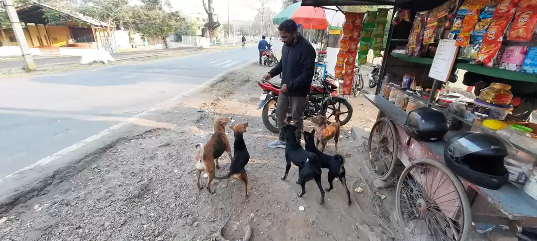 Photo of Sr SAIL Football Academy