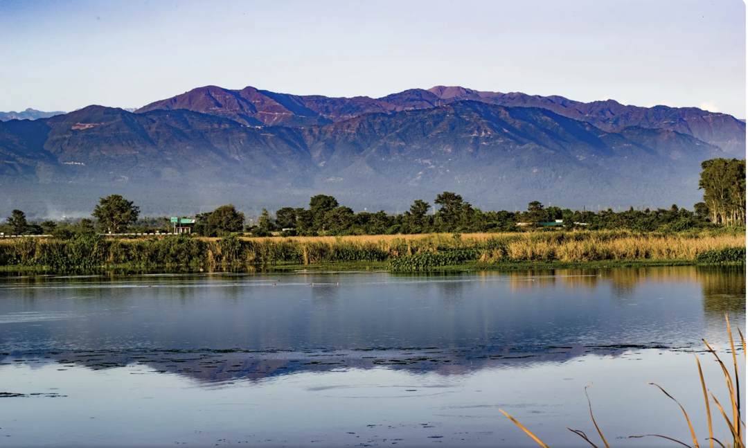 Photo of Love Birding? Here's