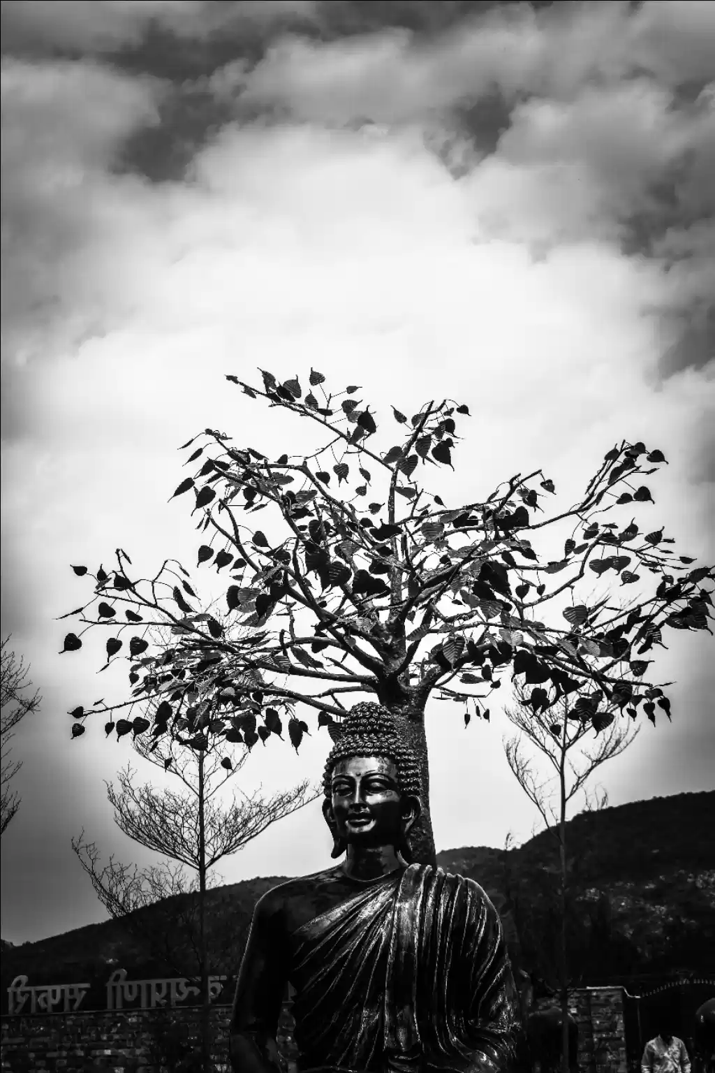 Photo of Zoo Safari Rajgir