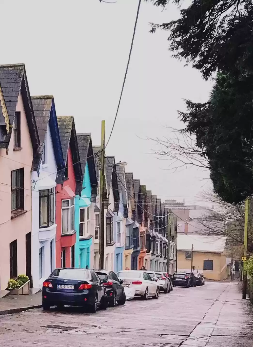 Photo of Cork
