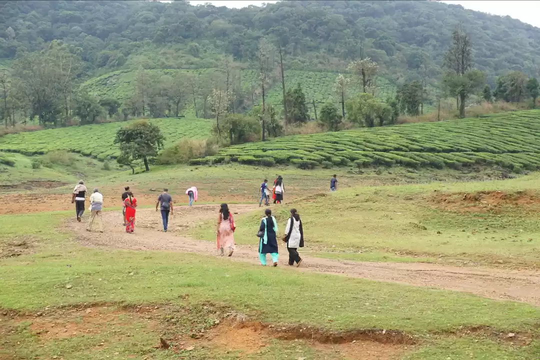 Photo of Megamalai Lake View Point மேகமலை