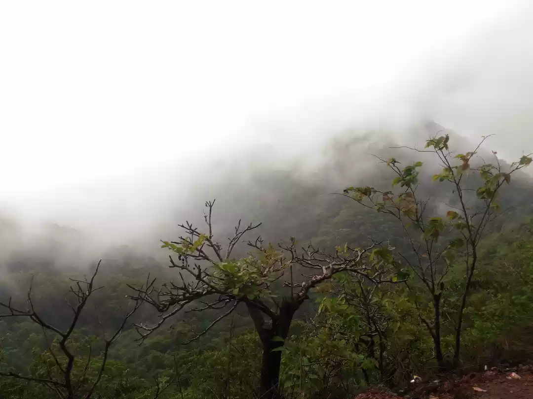 Photo of Chorla Ghat