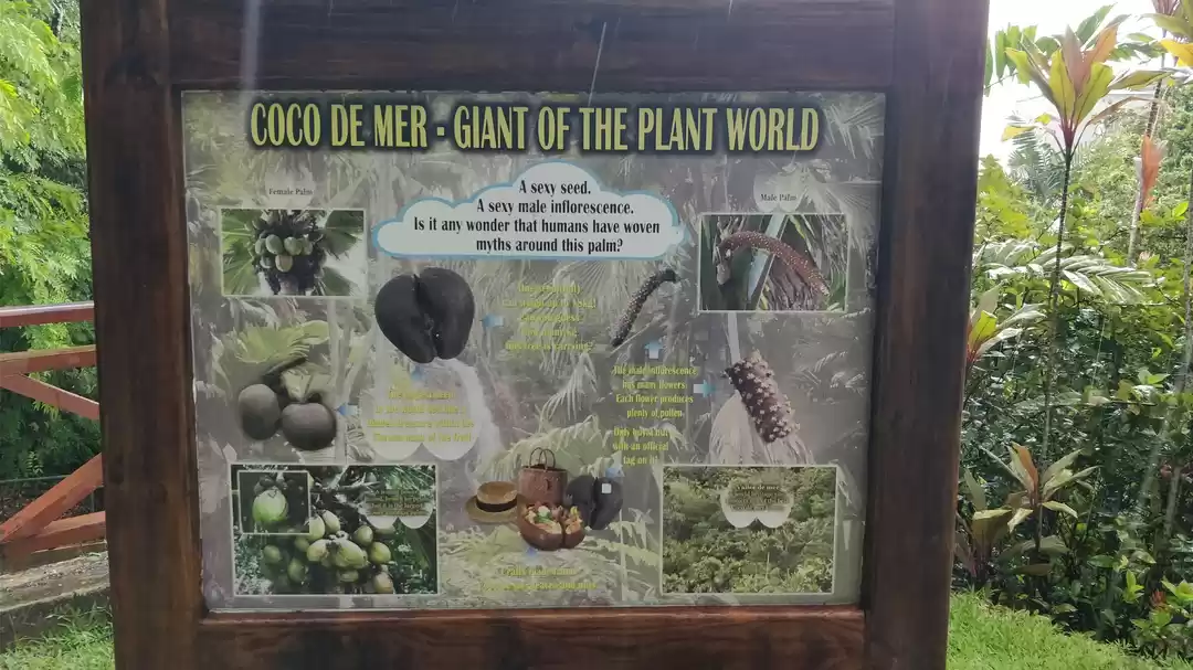 Photo of Botanical Garden
