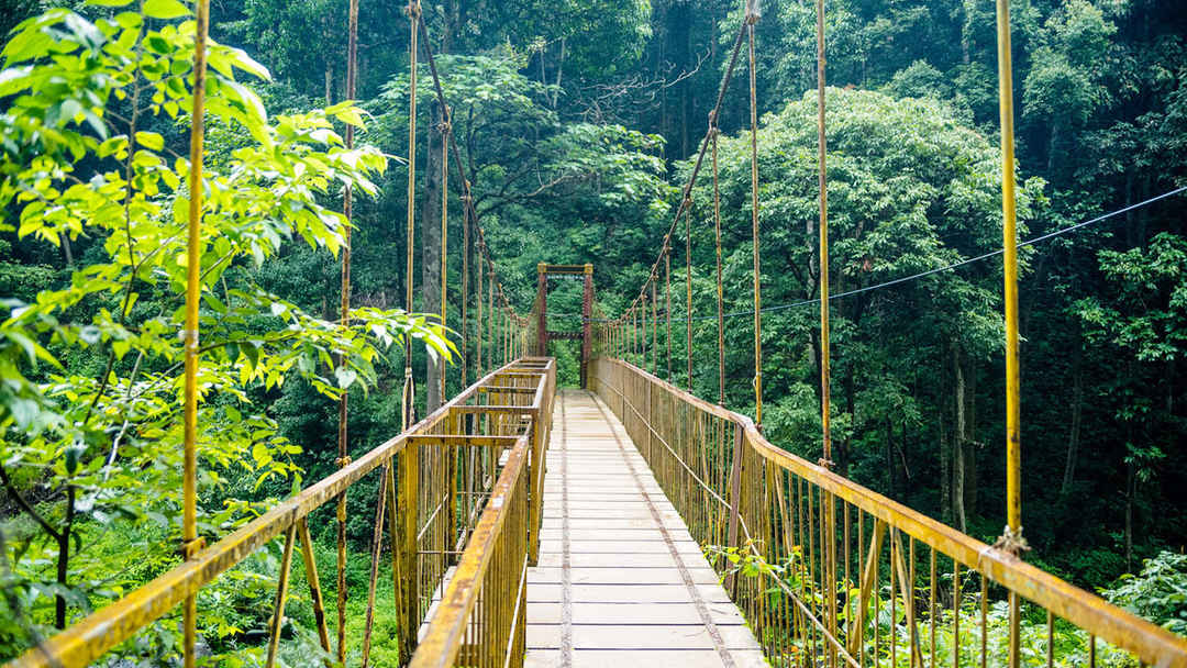Photo of Coorg in a Budget