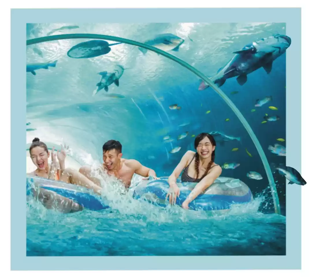 Photo of These Thrilling