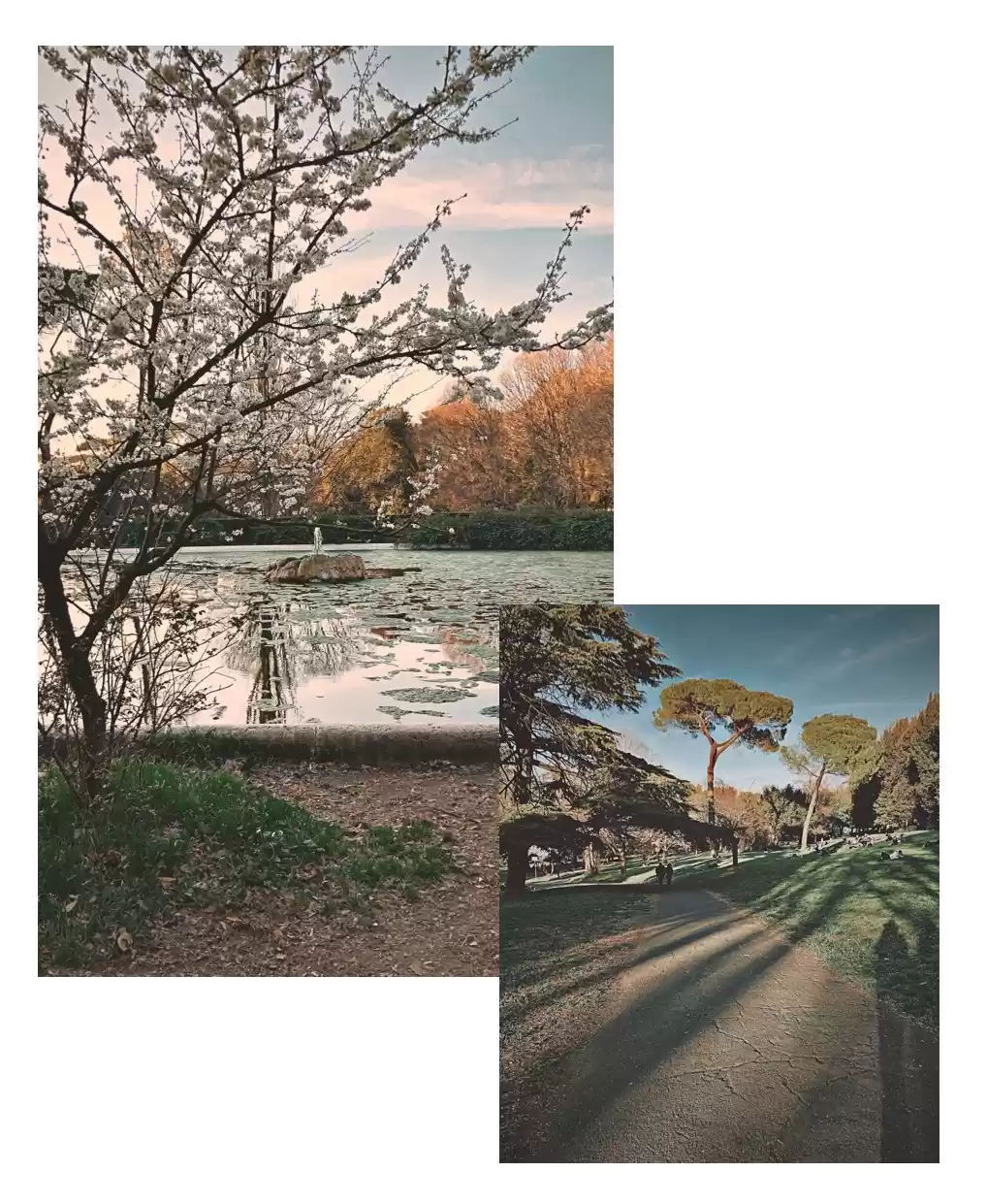 Photo of Villa Borghese