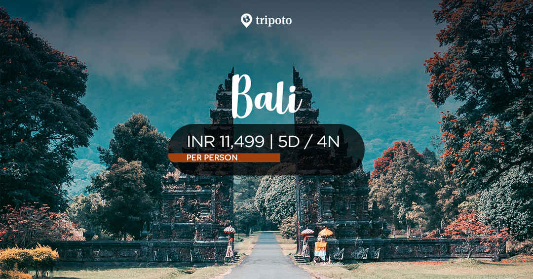 How much is the expense for a Bali tour? Tripoto