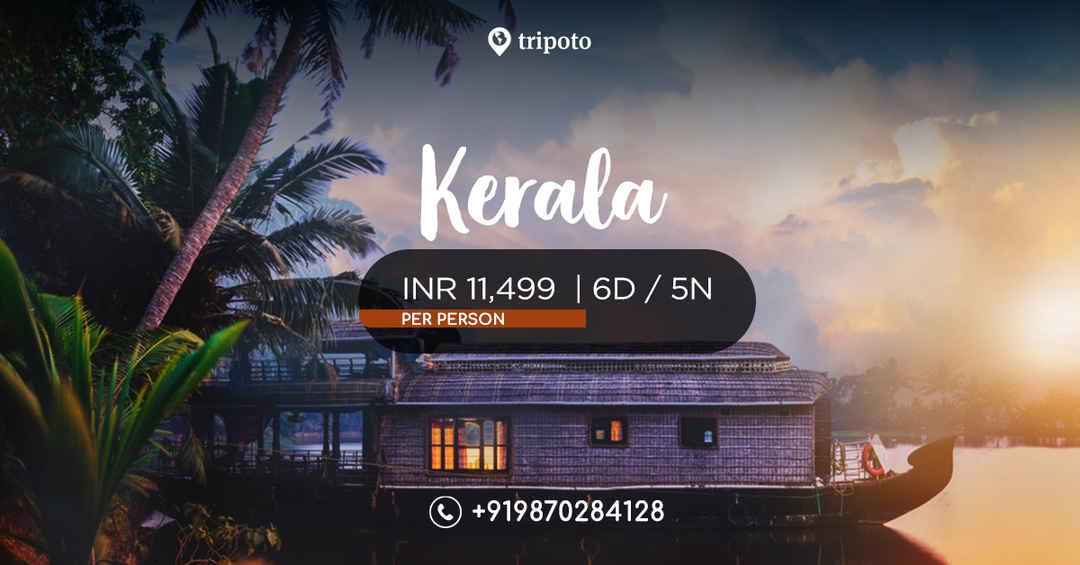 Photo of Kerala Sightseeing