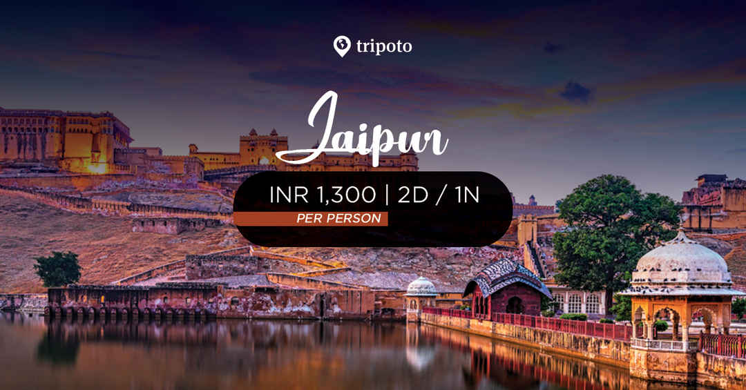 Photo of Night Under The Stars 