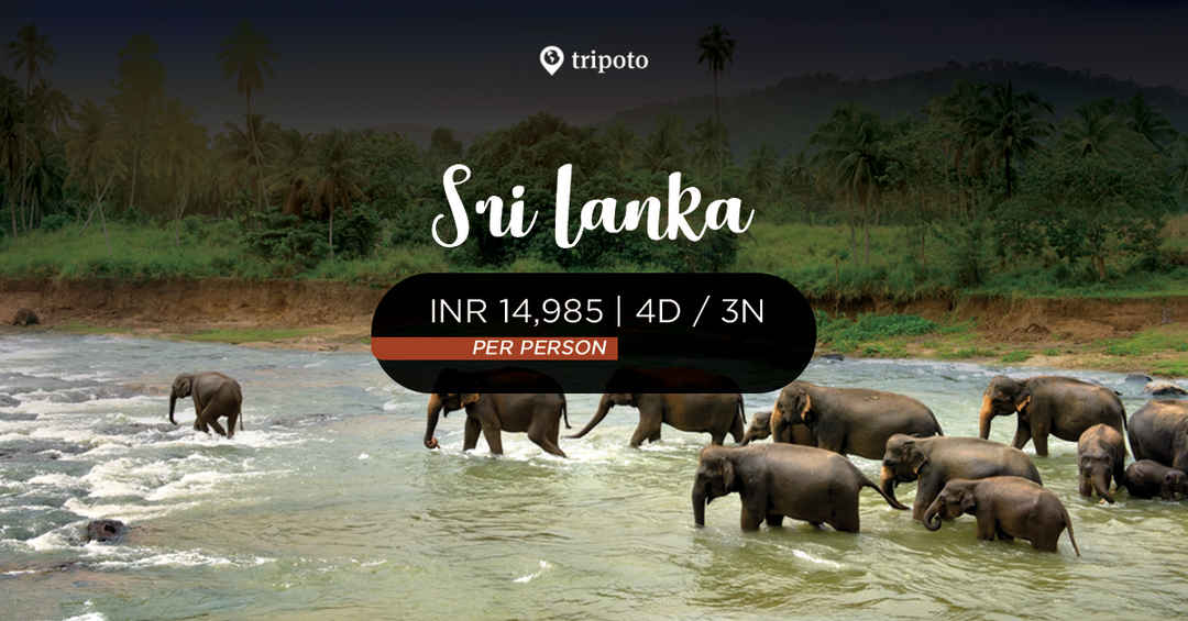 Photo of Sri Lankan Escape