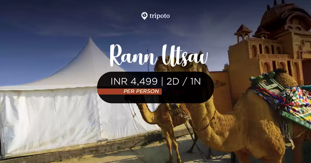 Image 1 of Rann Utsav