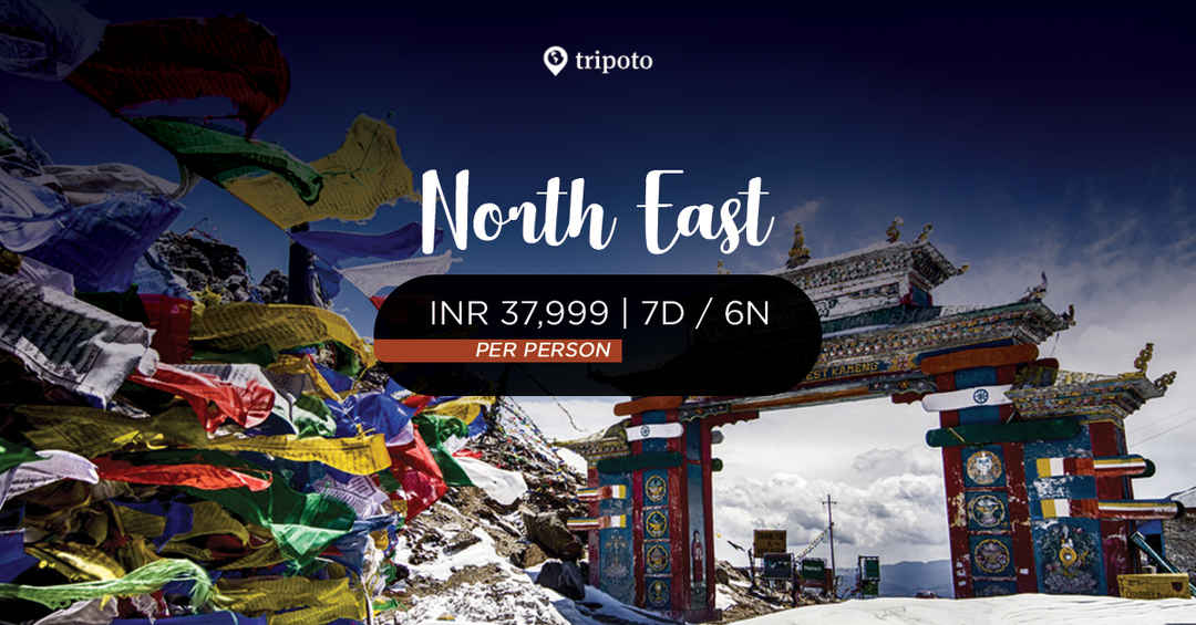 Photo of Best Of Northeast