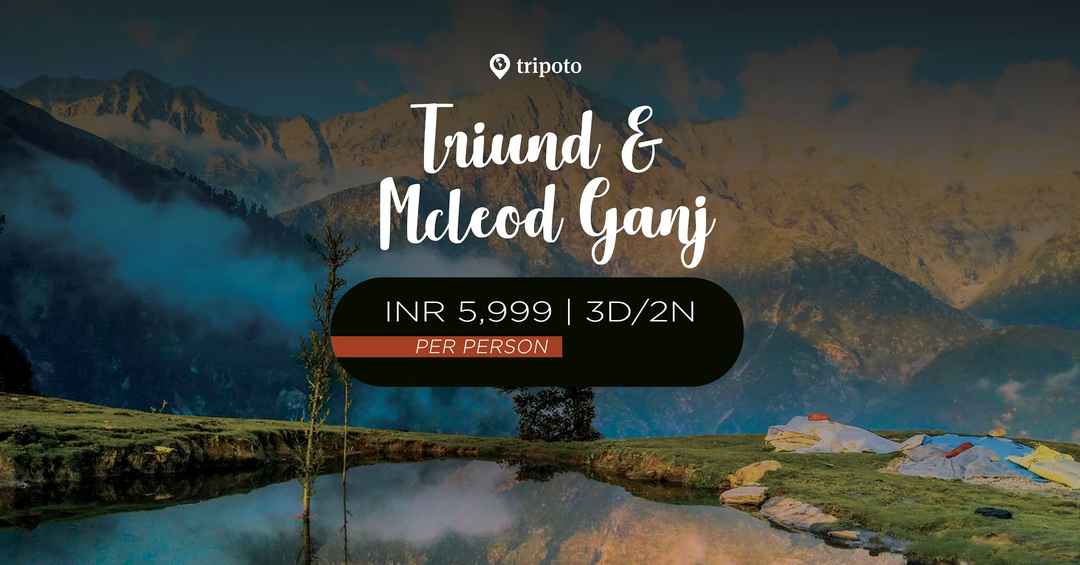 Photo of Mcleodganj And Triund Getaway