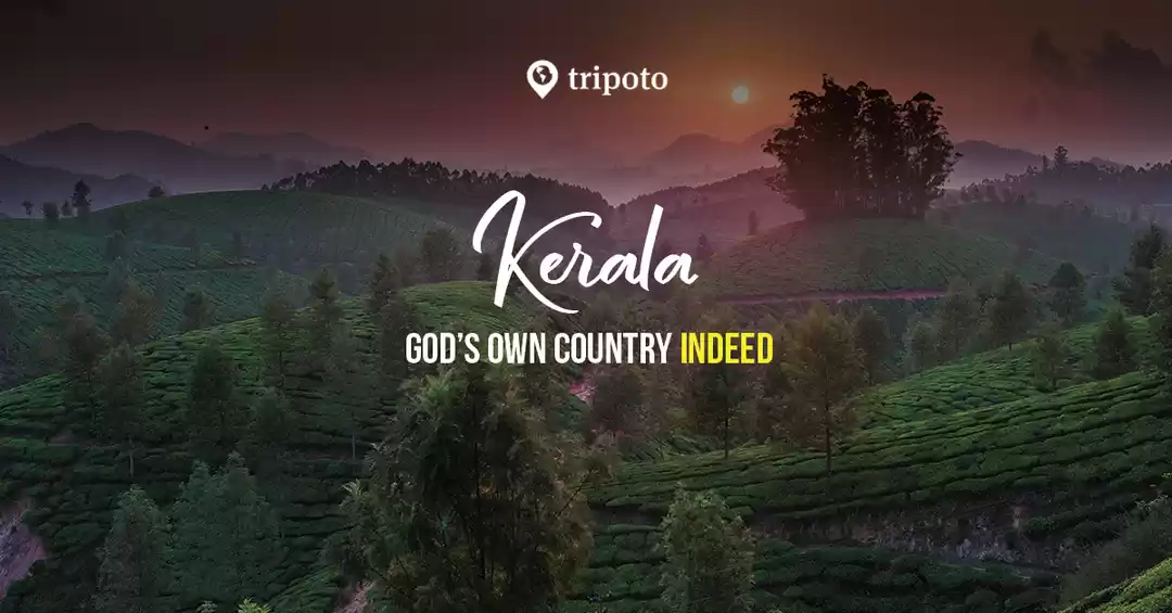 Photo of Kerala Packages