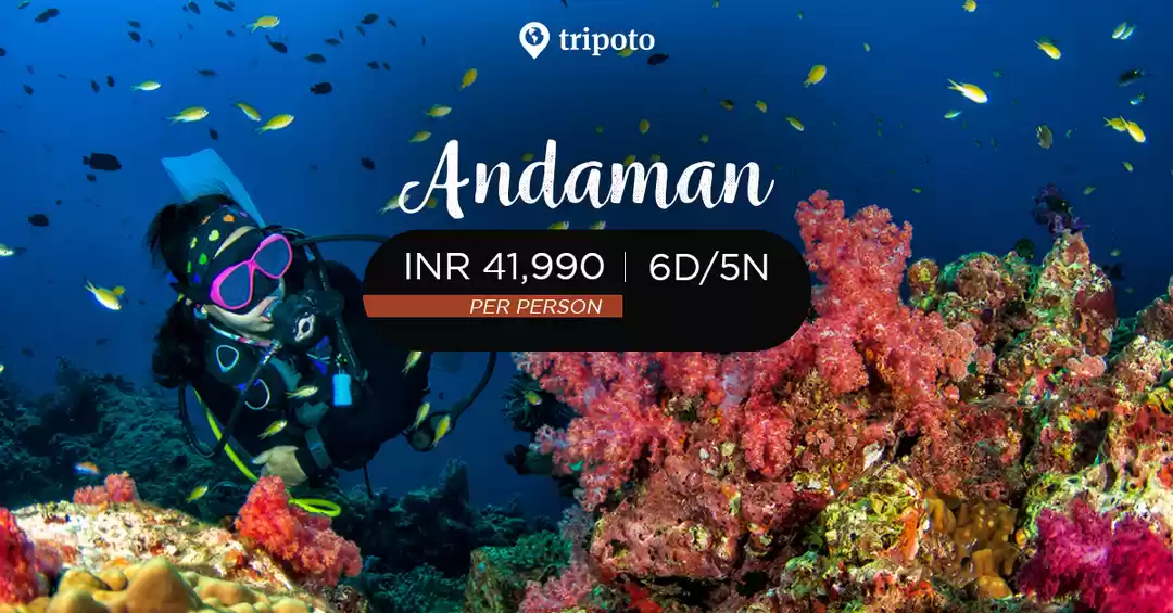 Image 1 of Andaman With Neil Island
