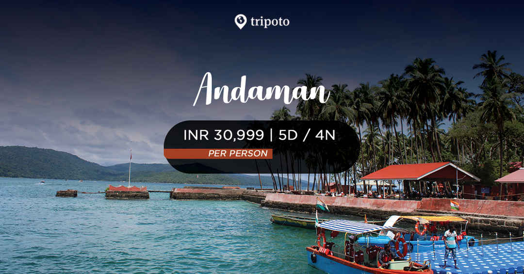 Photo of Andaman With Flights