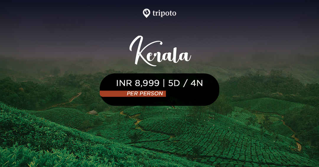 Photo of Experience Kerala