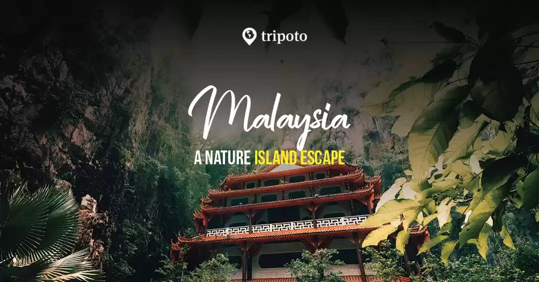 Photo of Malaysia Packages