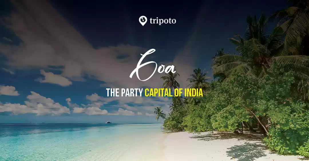 Photo of Goa Packages