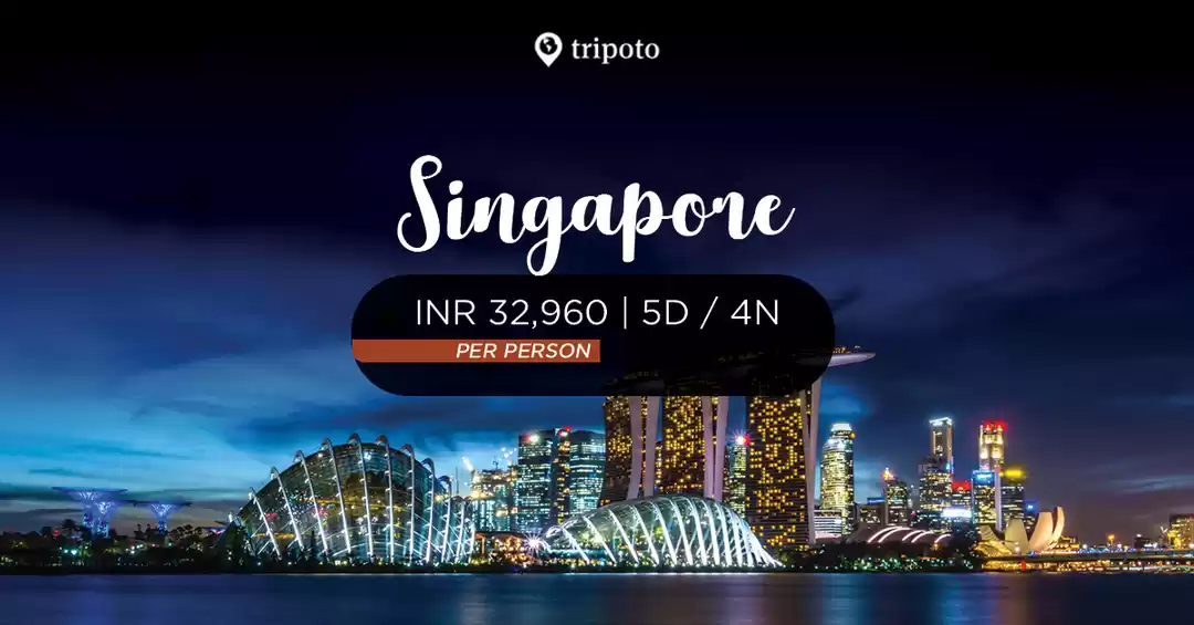 Image 1 of Singapore Delights