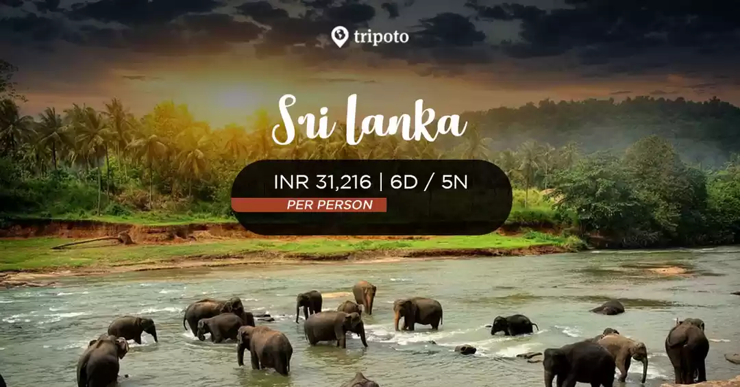 Image 1 of Splendid Sri Lanka