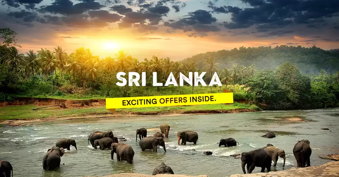 Image 1 of Discover Sri Lanka